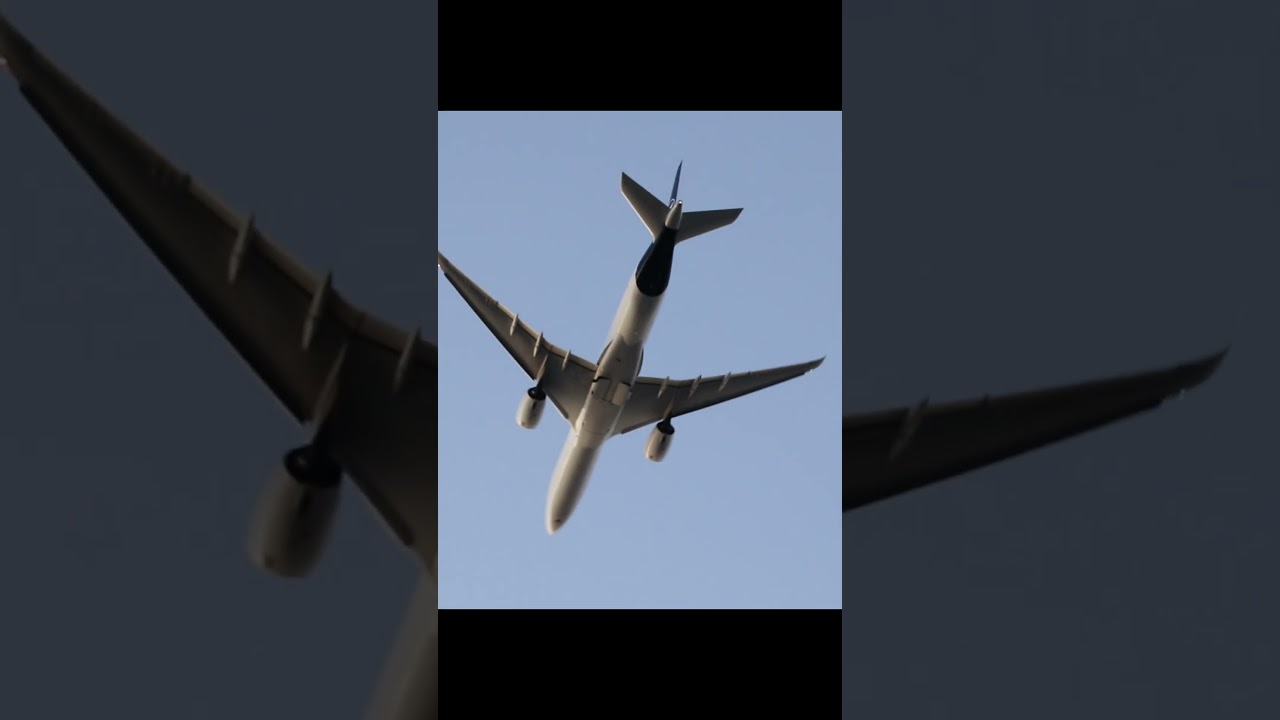 Lufthansa A350-900 (D-AIXM) Afternoon Departrure at San Diego (SAN/KSAN) #aviation #a350 #sandiego
