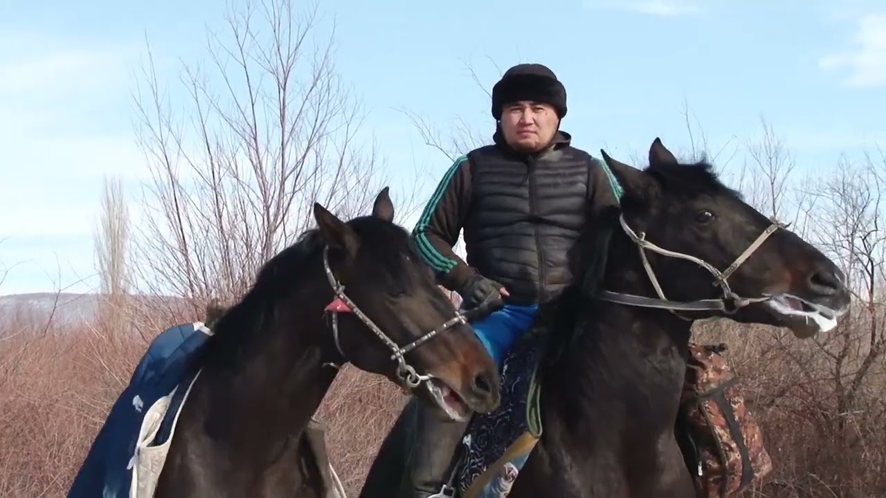 28,01,24 Кокпар