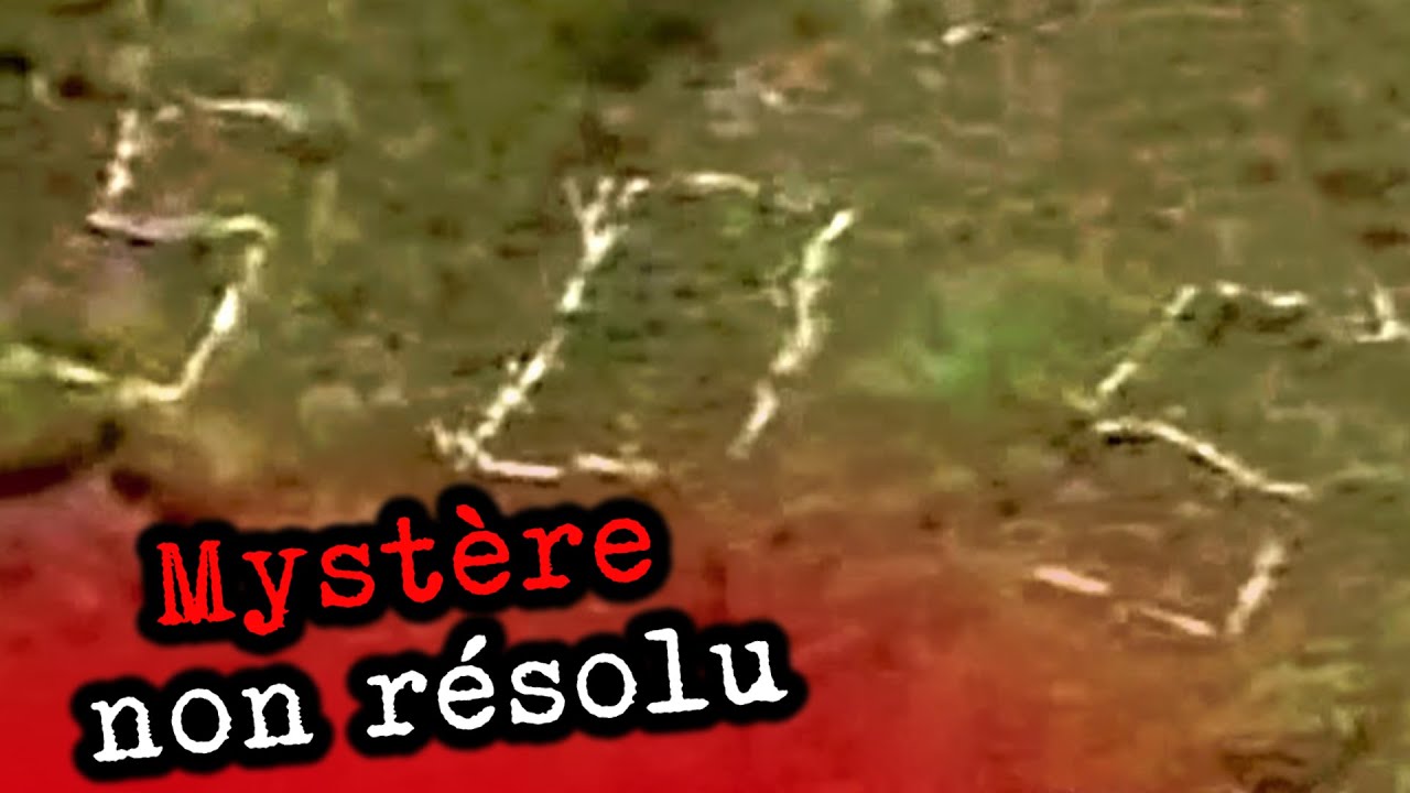 Les disparus du mont Asahi : un SOS myst&eacute;rieux (#DMKMY)