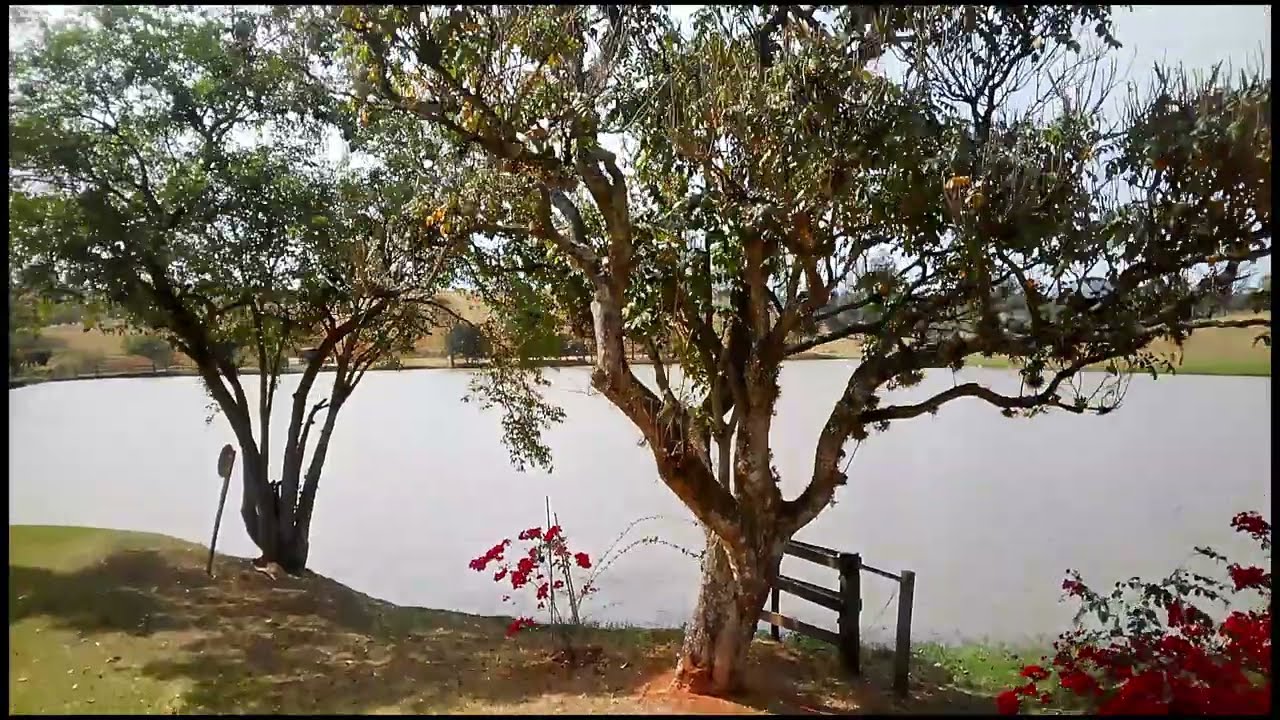 Tranquilidade Rural de Amparo SP. #paz #rurallife #rural