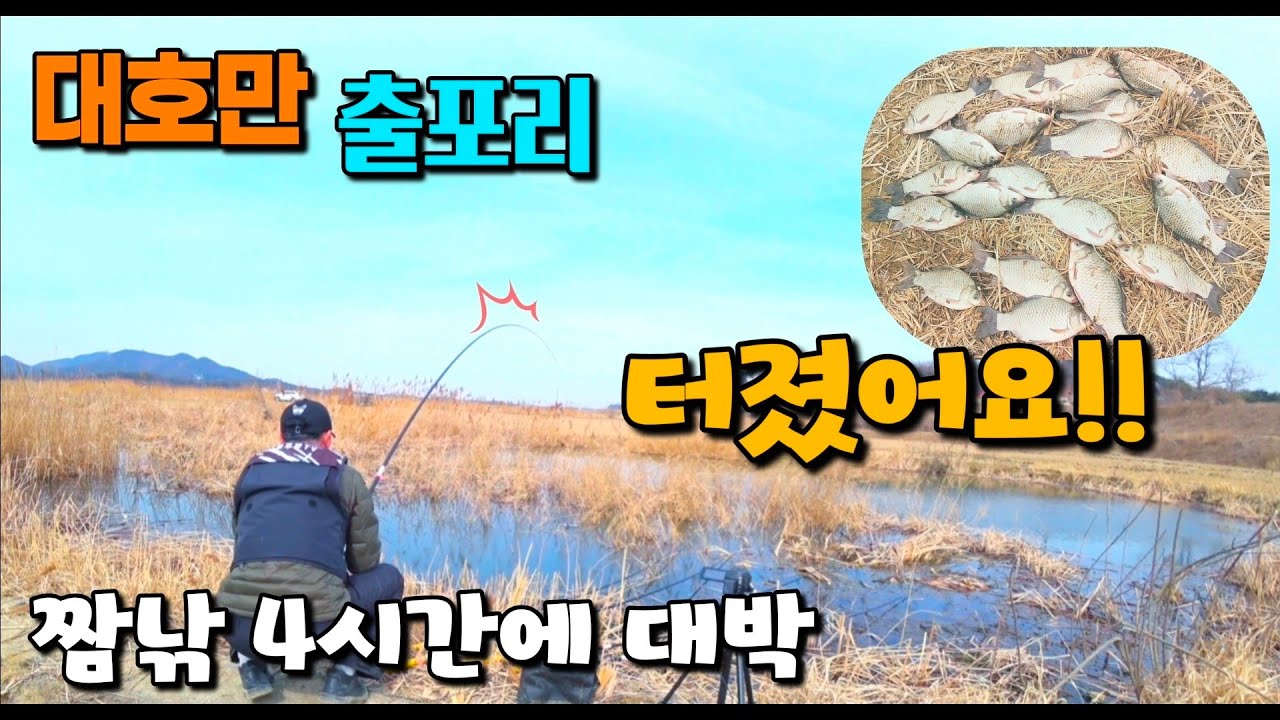 짬낚 4시간에 대박!! 대호만 출포리 터졌습니다 #붕어낚시 #fishing