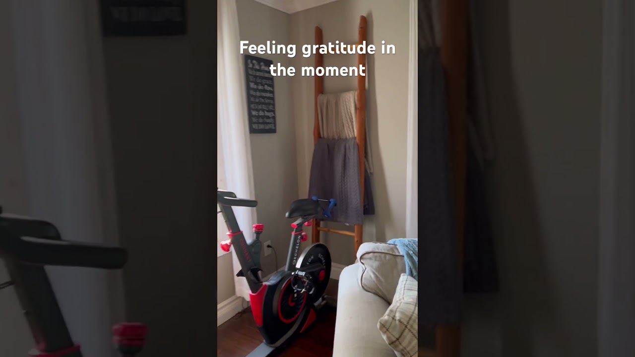 Moments of gratitude