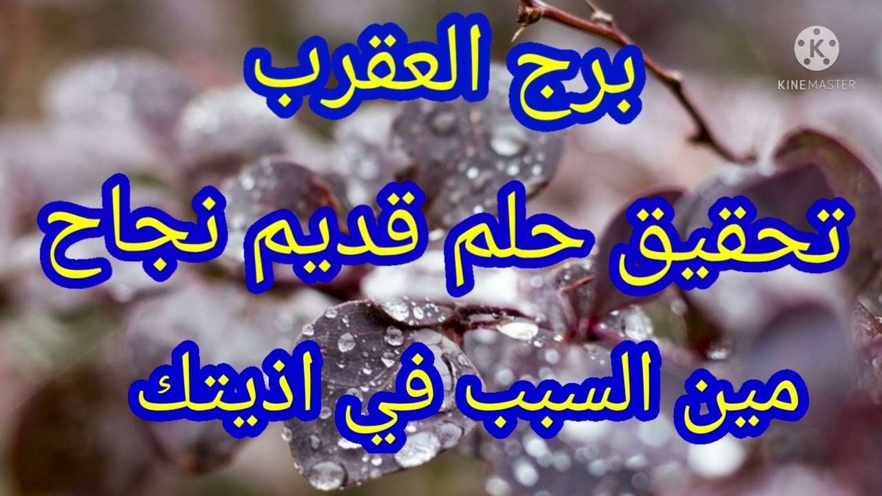 برج العقرب تحقيق حلم قديم نجاح مين السبب في اذيتك