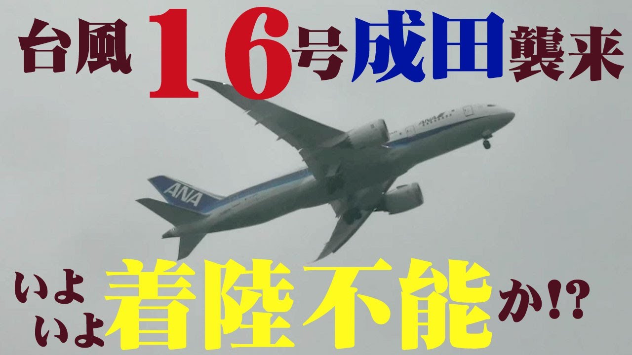 【成田空港】激烈！50kt近い暴風とウインドシアでもはや着陸不能状態!?台風16号接近で大混乱に陥った成田の離発着機を追った