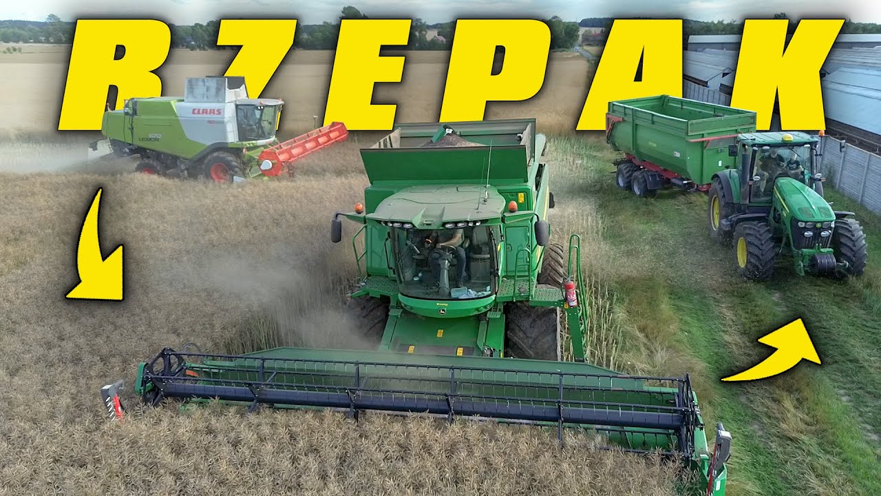 ŁAPANE ŻNIWA.. Pierwszy Wjazd w Rzepak - Codziennie Pada...