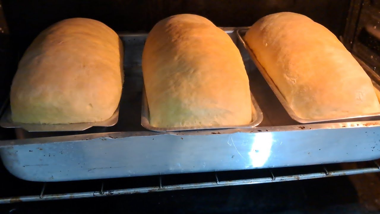 VIDA no sítio pão 🍞 caseiro 