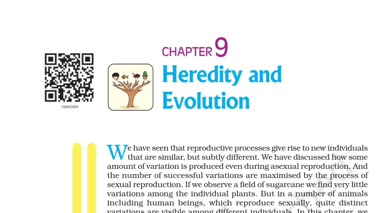 NCERT SCIENCE 10th | C9 Heredity  and Evolution 