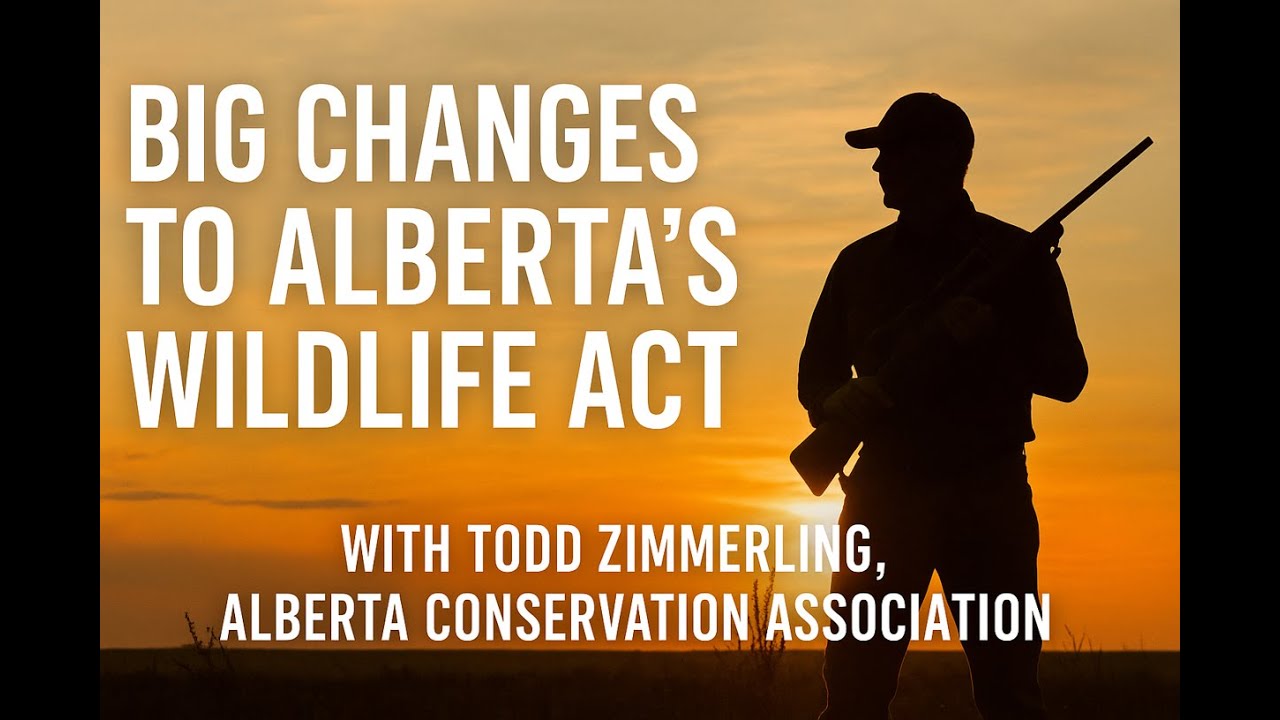 New Wildlife Rules in Alberta: What You Need to Know