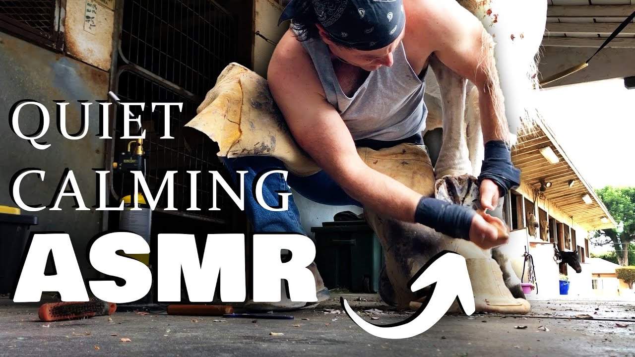 ASMR Horse Hoof Relaxing Calm sleep