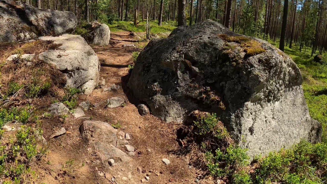 HEBY MTB