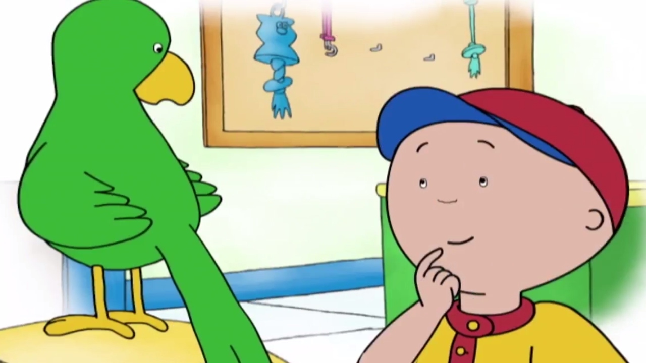 Caillou | Speciale Compilatie | Cartoons Voor Kinderen | Nederlands Gesproken