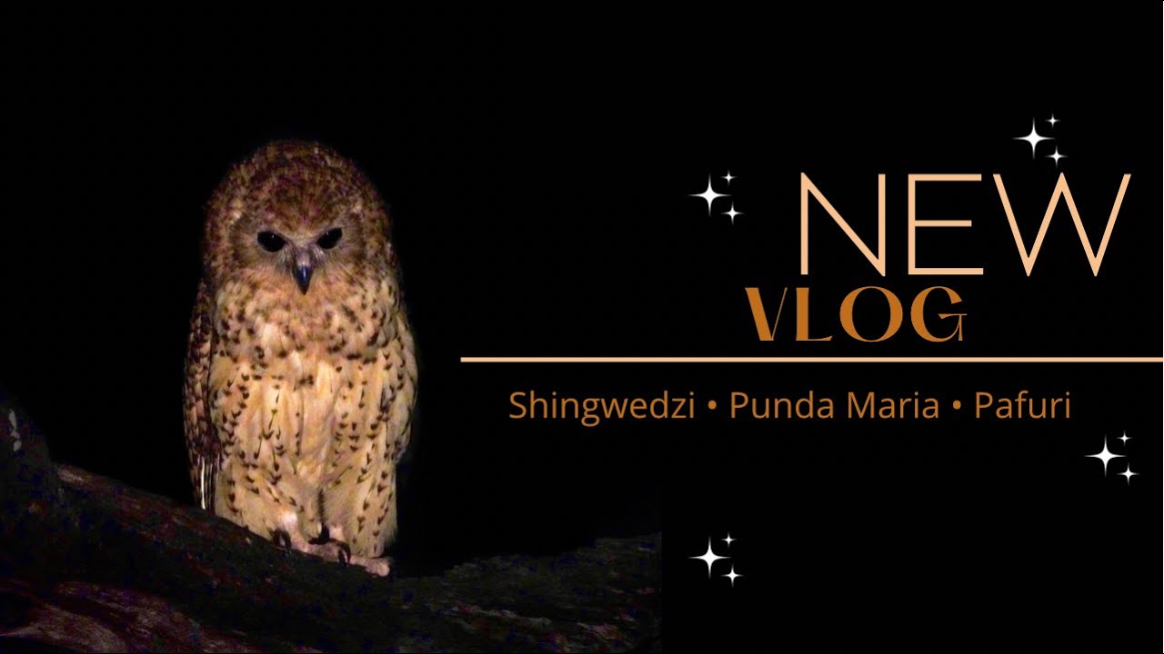 Episode 5 - Kruger National Park Shingwedzi, Punda Maria, Pafuri