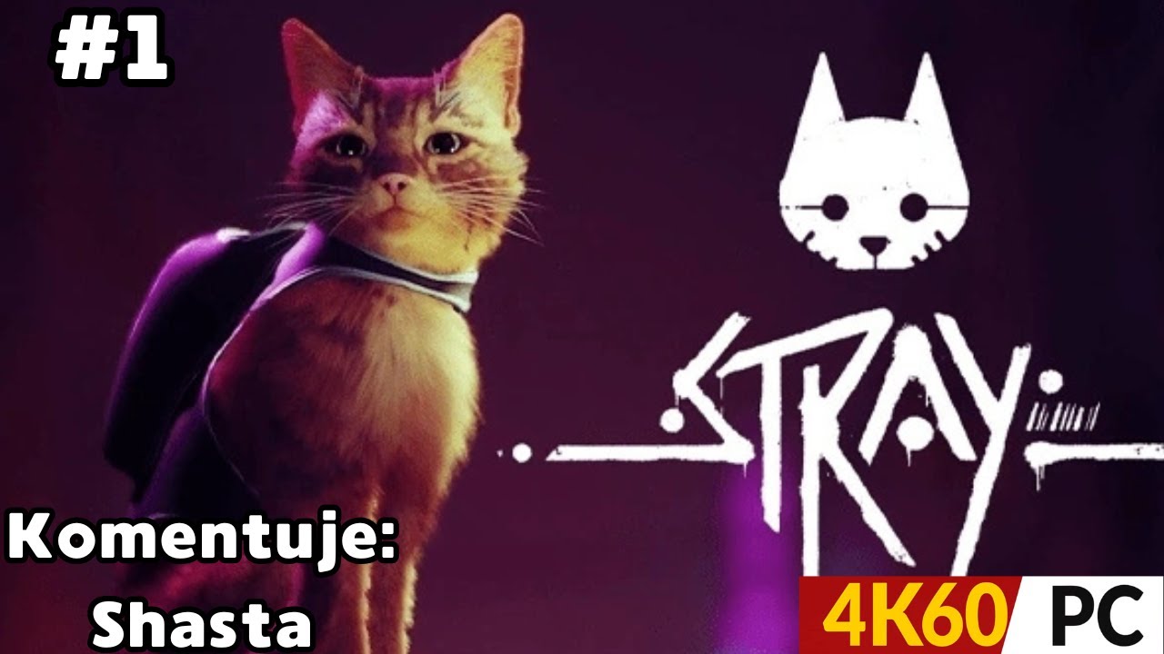 Zagrajmy w Stray Odc. 1 | Koci przybłęda i jego towarzysz