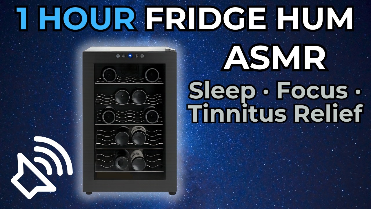 Wine Cooler Hum (1 HOUR) 🍷❄️ Smooth White Noise for Deep Sleep & Focus