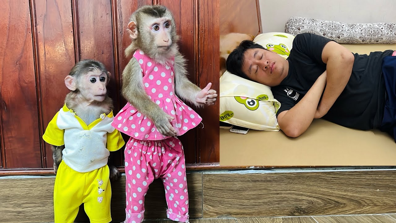 Uncle Tuan woke up and couldn't find Tina and Xuka anywhere, which made him very worried.