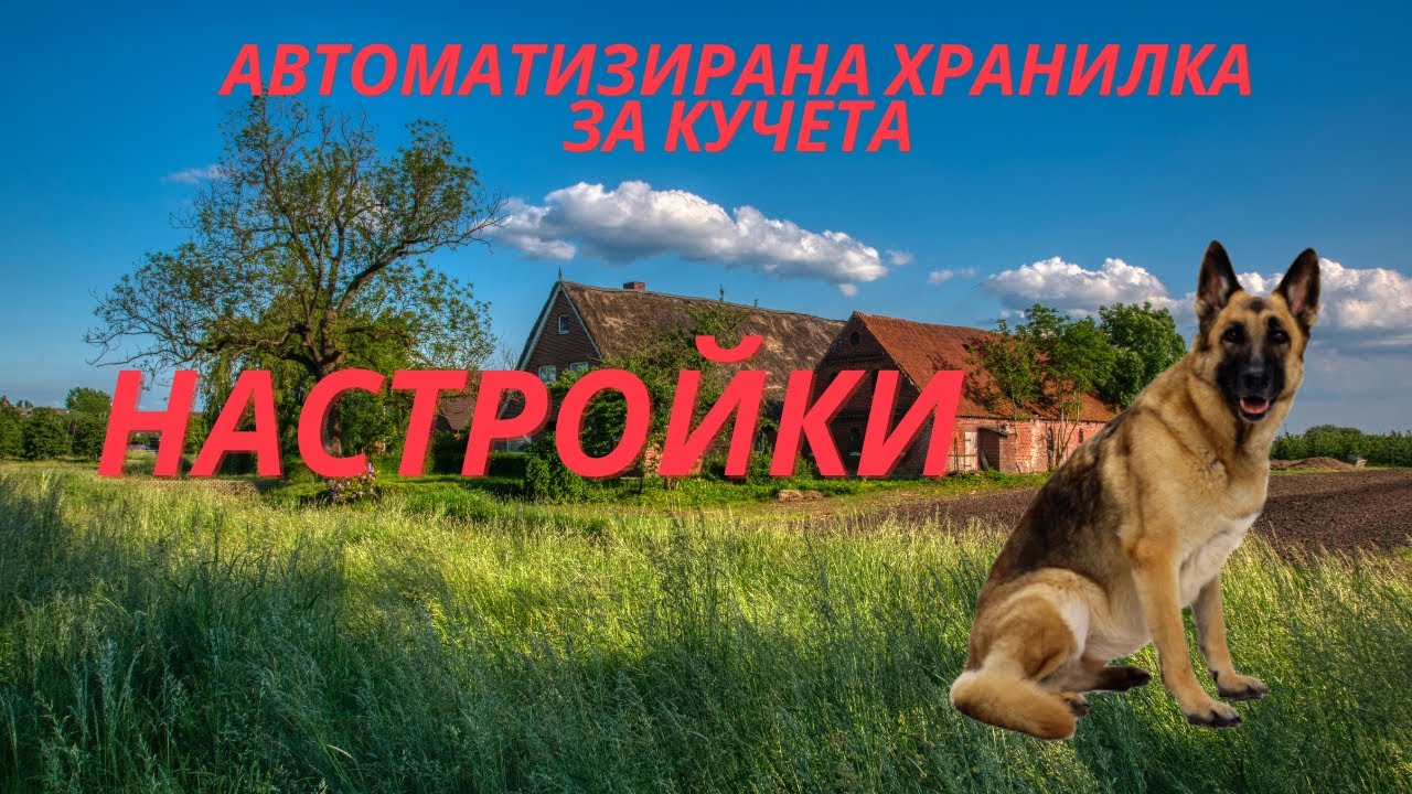 Как Да Настроим Автоматизираната Хранилка За Две Кучета