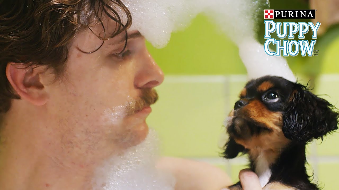 Puppyhood: We Met A Girl // Presented by BuzzFeed & Purina  Puppy Chow