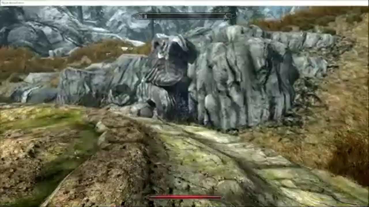 MY new life in Skyrim