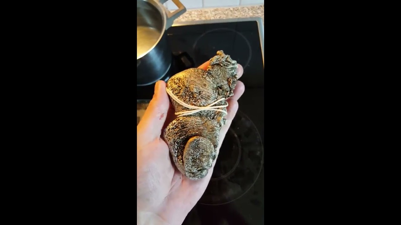 Metallbestimmung &uuml;ber das archimedische Prinzip- Habe ich ein Silber/Goldnugget gefunden?