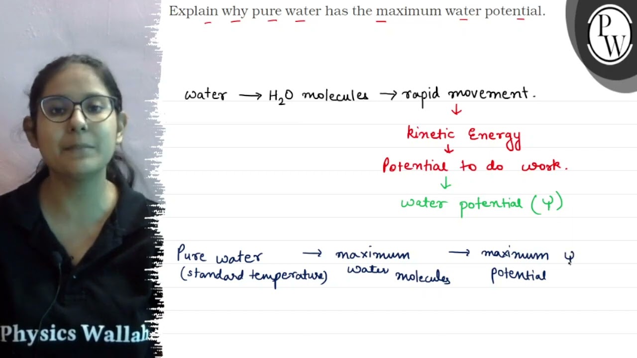 Explain why pure water has the maximum water potential. water \( \r...