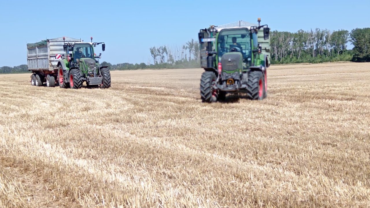 2025 búza aratás (1×Claas, 3×Fendt)