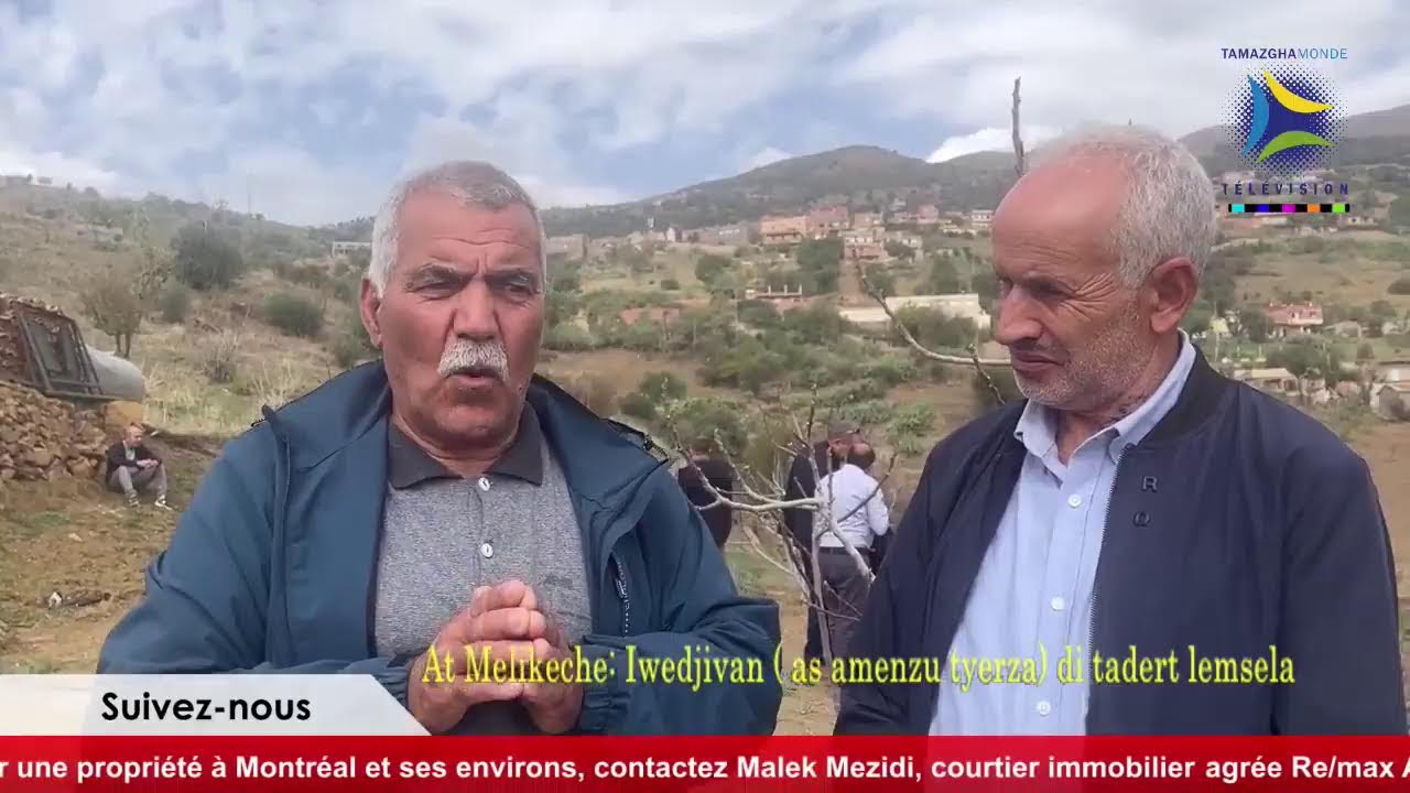 🔴 Reportage: Iwedjivan ( as amenzu tyerza) di tadert lemsela - At Melikeche