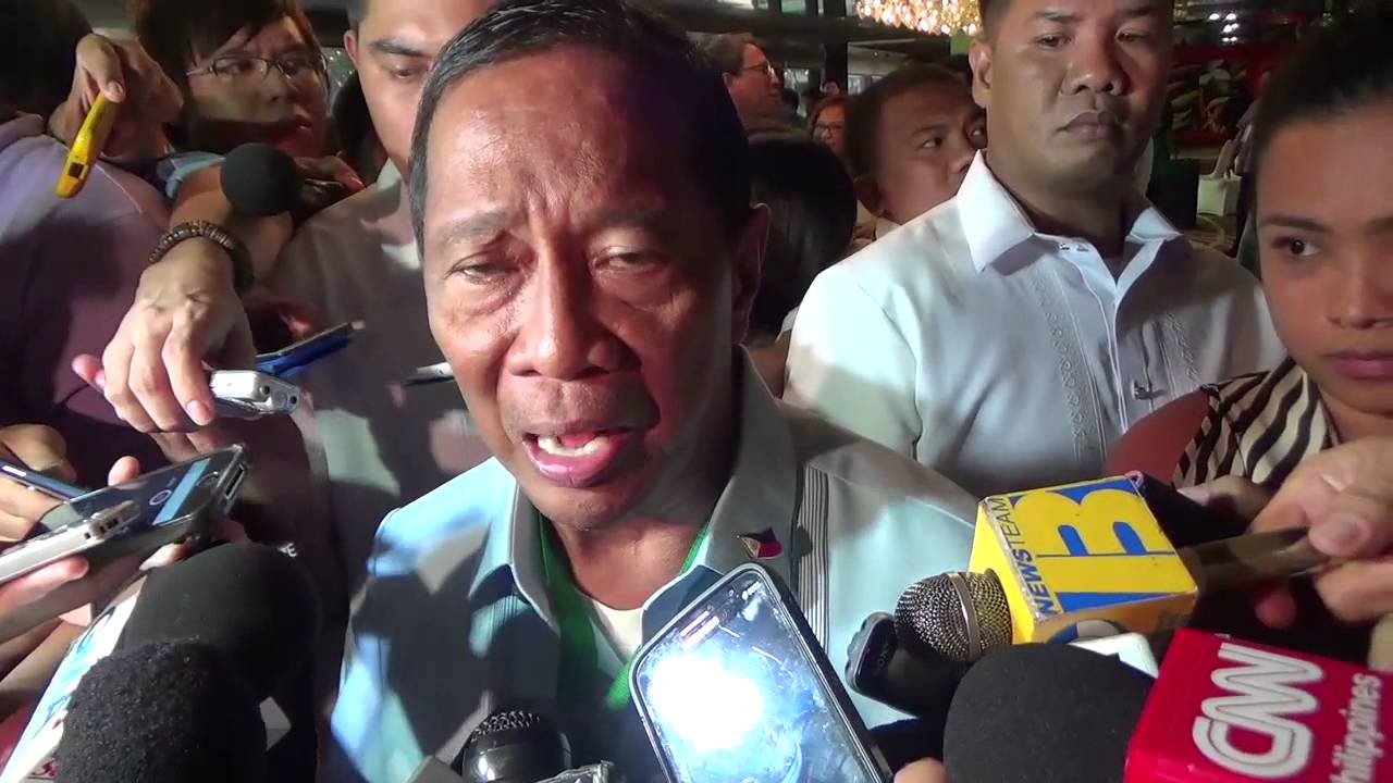 Jojo Binay wants ban on cases before polls