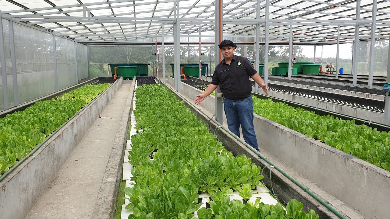 MADE Commercial Aquaponics System