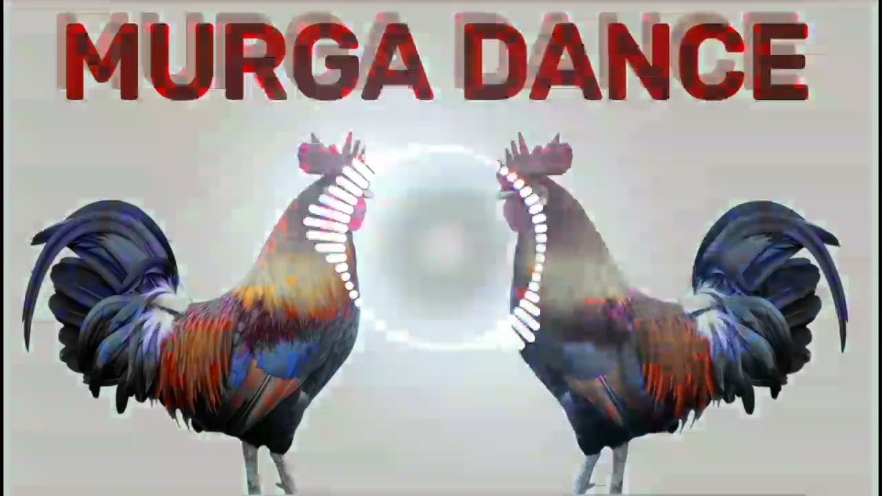 Murga dance || ku ku ku song || murga song dj mix by dipanshu #murgadance #song #murga