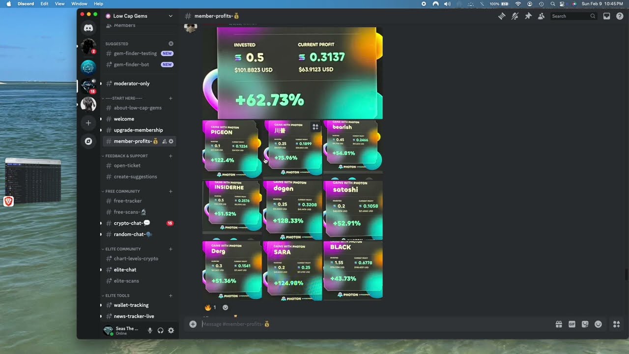 #LowCapGems Discord Preview