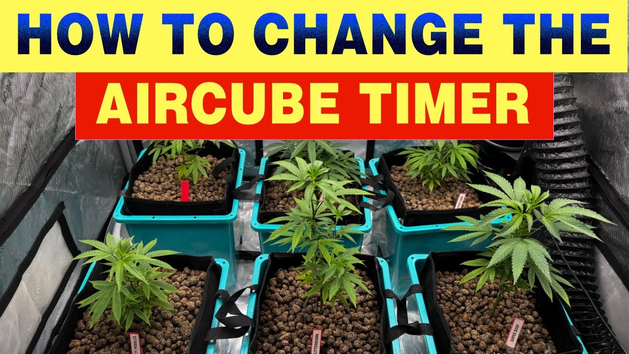 How To Change The Timer On The AirCube System