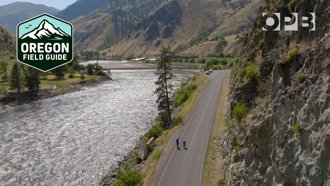 Road trip in search of ancient Oregon | Oregon Field Guide