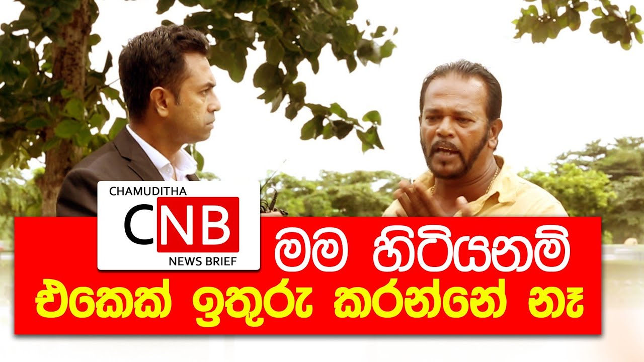 මම හිටිය නම් එකෙක් ඉතුරු කරන් නෑ - පාලිත තෙවරප්පෙරුම  Chamuditha News Brief