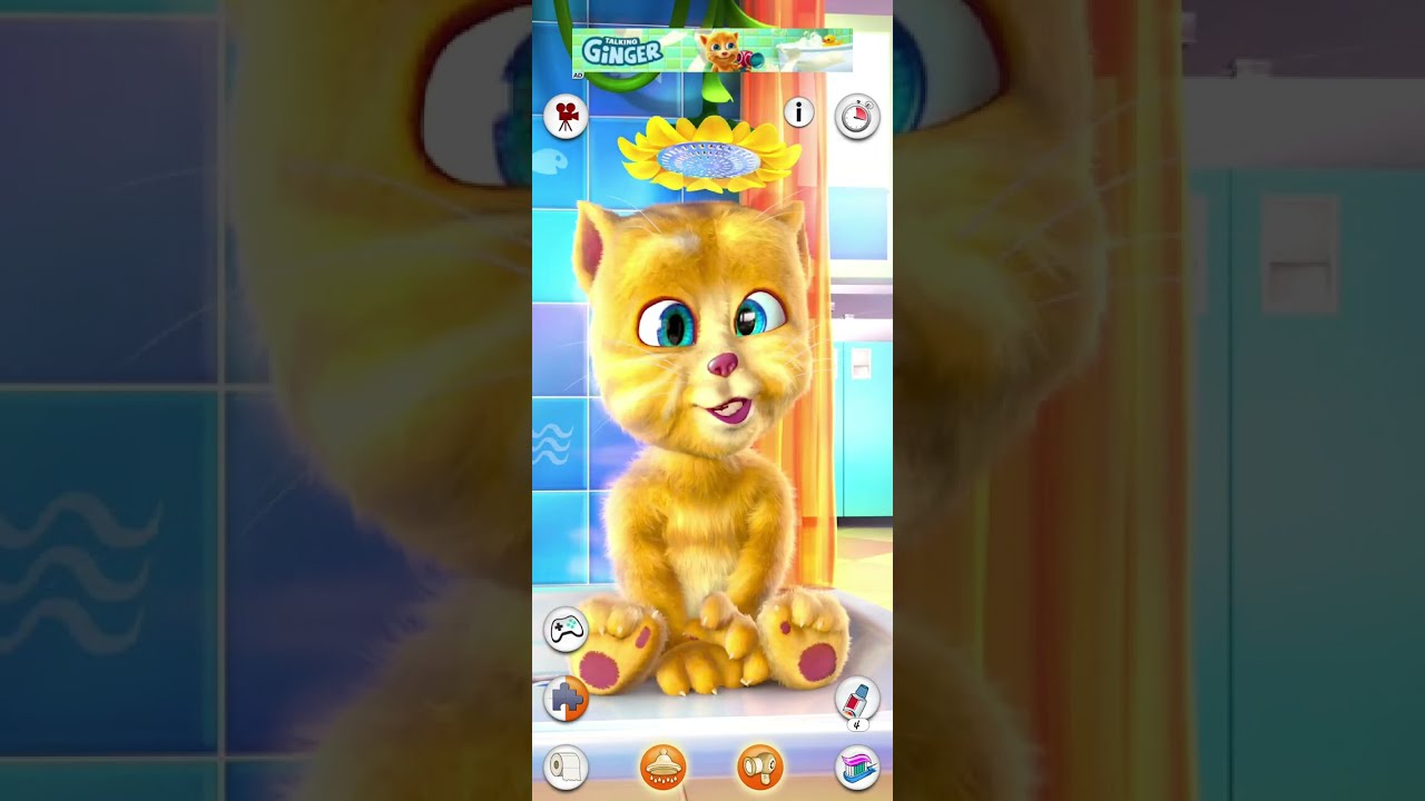 Talking Tom Cat Funny Gameplay