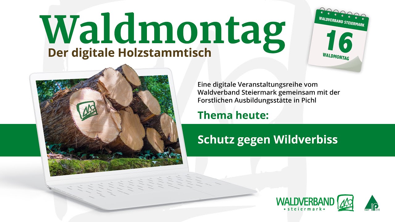 20211025_Waldmontag_Schutz gegen Wildverbiss