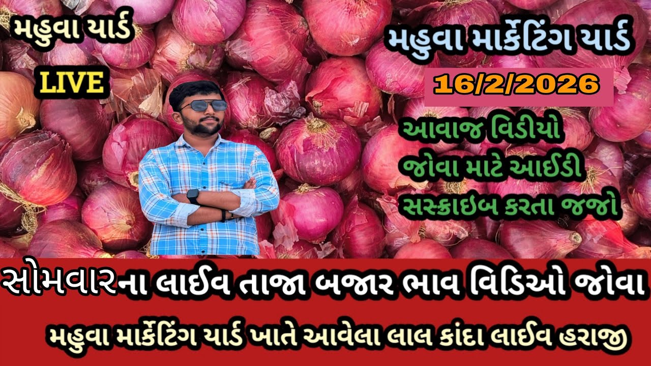 સોમવારનાતાજા બજાર ભાવ મહુવા યાર્ડ || APMC MAHUVA|| બજાર ભાવ ઘટ્યા प्याजभाव महुवा मंडी| ૧૬/૦૨/૨૦૨૬ ||
