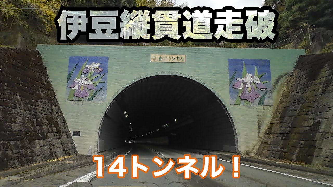 【ゆっくり車載】伊豆縦貫自動車道 | 月ヶ瀬IC～長泉沼津IC