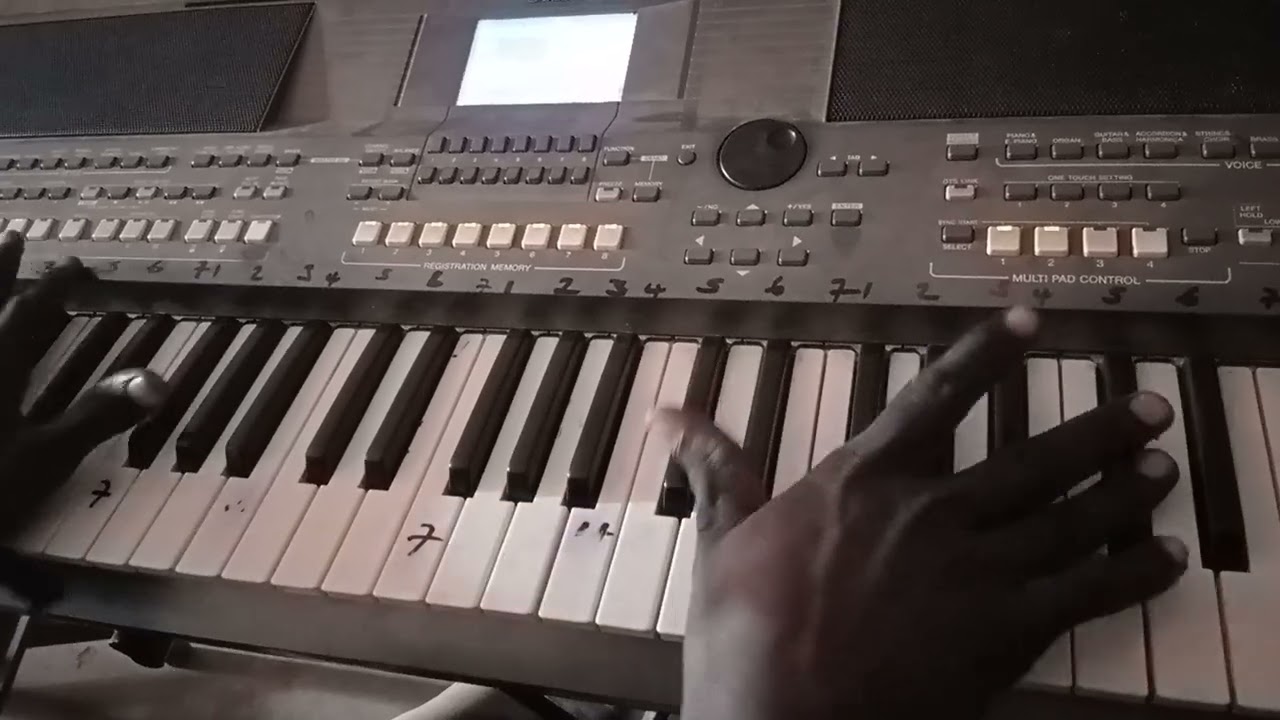 Beginners to advanced piano seben player in the key of F#