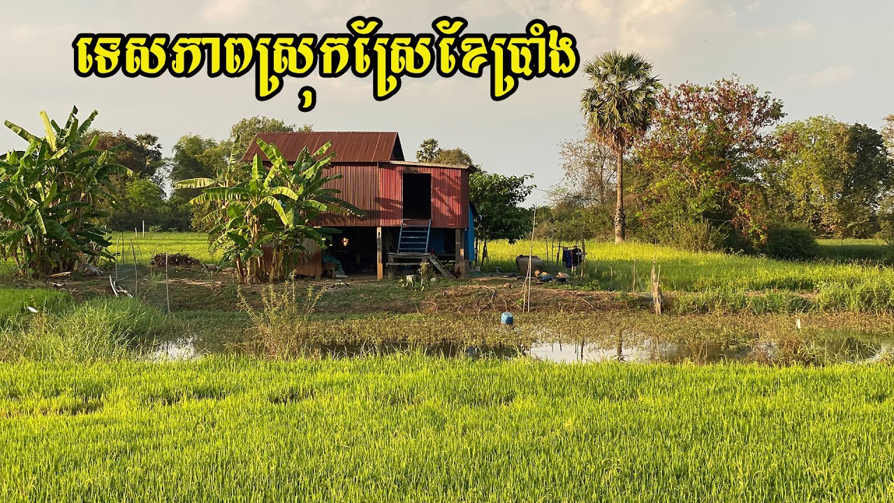 ទេសភាពគួរអោយចង់រស់នៅ​ ខ្យល់បរិយាកាសបរិសុទ្ធ​ ជុំវិញពោរពេញទៅដោយធម្មជាតិខៀវខ្ចី​