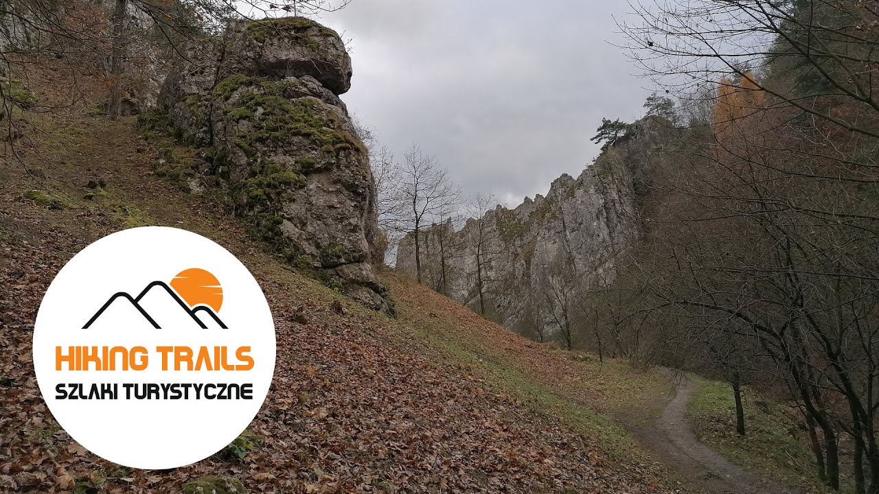 🇵🇱 Dolinki Krakowskie: WĄWÓZ BOLECHOWICKI / The Kraków Valleys: BOLECHOWICKI GORGE - virtual walk