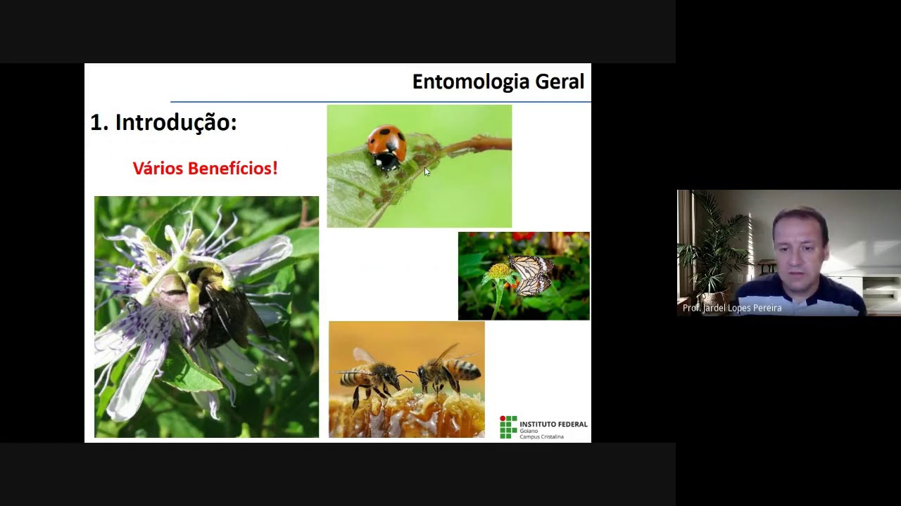Entomologia Geral   Aula 01 –  Introdução a Entomologia Geral