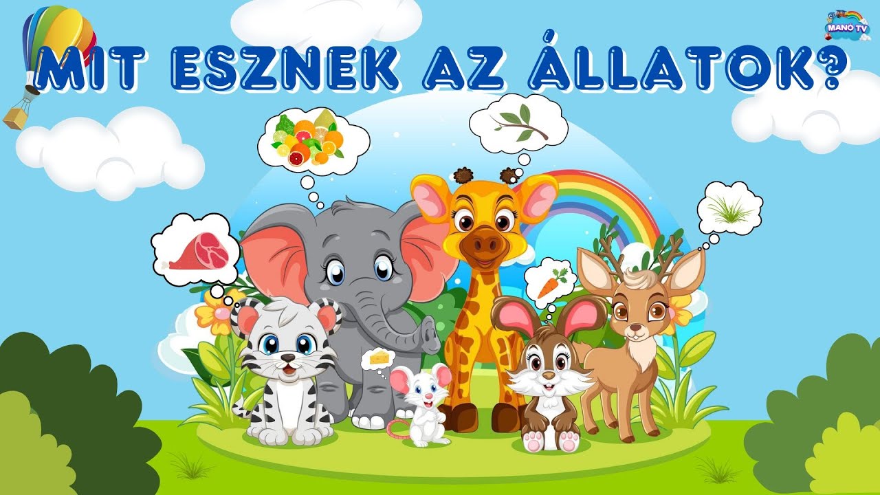 Mit esznek az állatok!? Ismerd meg az állatok kedvenc ételeit! Fejlesztő videó gyerekeknek #animals