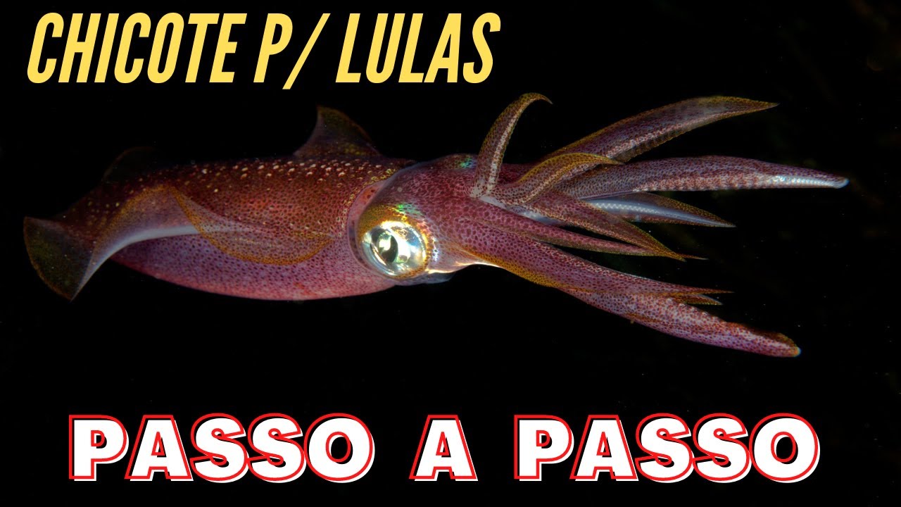 #28  CHICOTE PARA PESCAR LULAS  COMO FAZER (PASSO A PASSO) - Parte 1