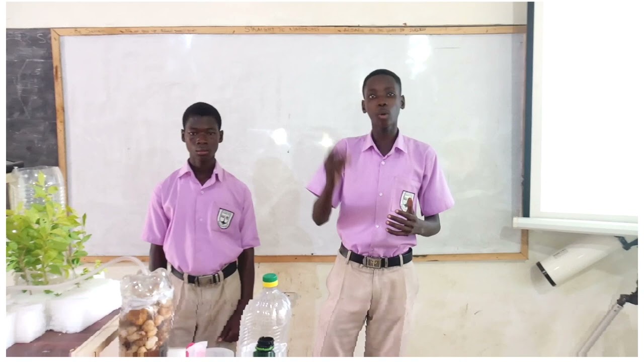 Akpafu SHS