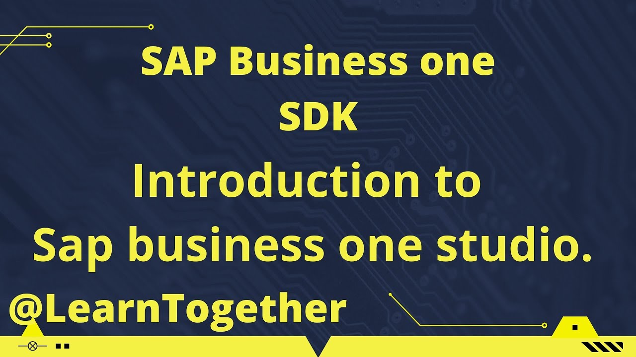 Sap business one studio introduction | SAP Business one SDK | Customisation | Learn tech with Aditya