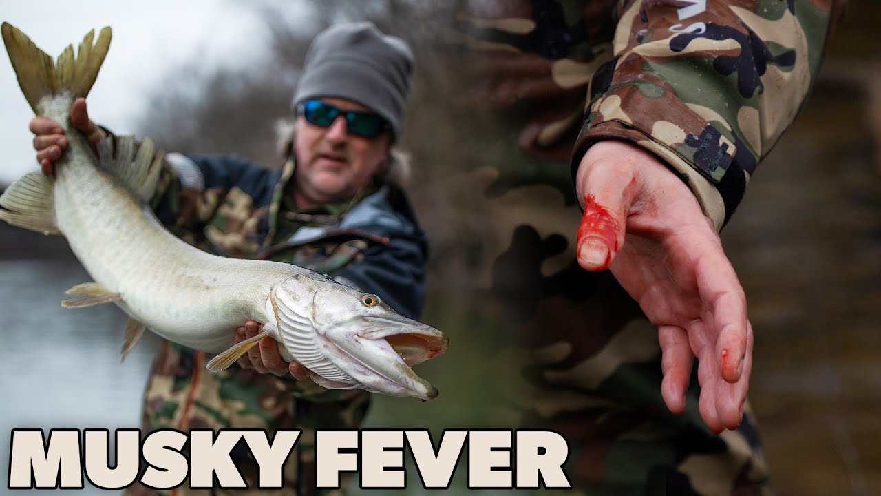 Musky Fever (Fly Fishing an Apex Predator)