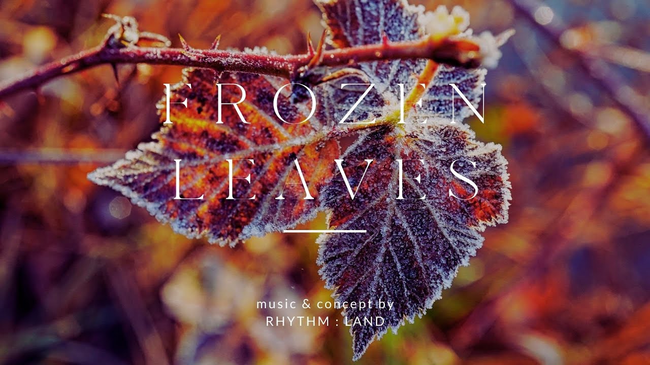 Rhythm : Land - FROZEN LEAVES