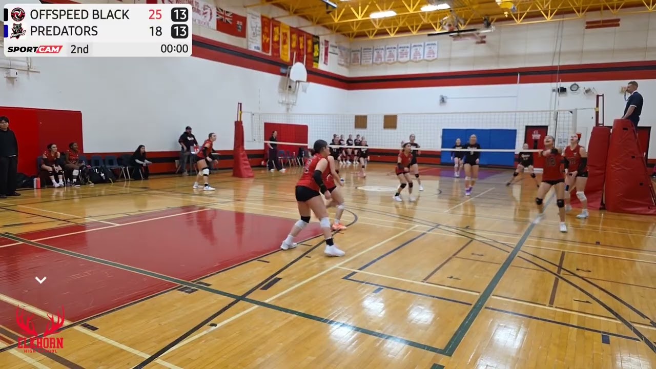 Set 2 HIGHLIGHTS