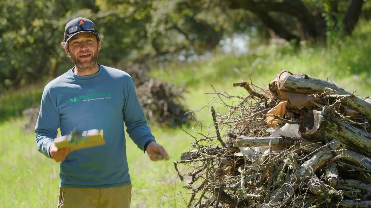 Pile Burning Tutorial for Northern California (English)