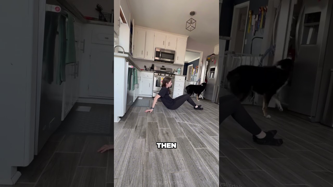 A Dog’s Incredible Instinct Saves His Owner’s Life